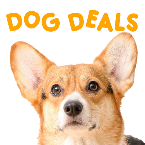 Buy 1 Get FREE Dog Deals