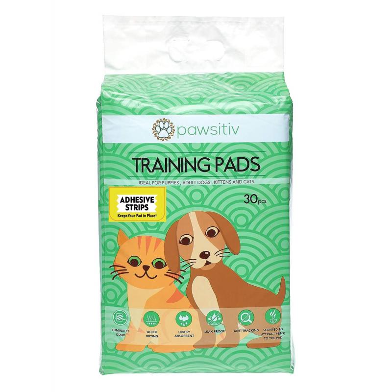 Dog, Grooming, Pawsitiv, Pee Pads & Diapers