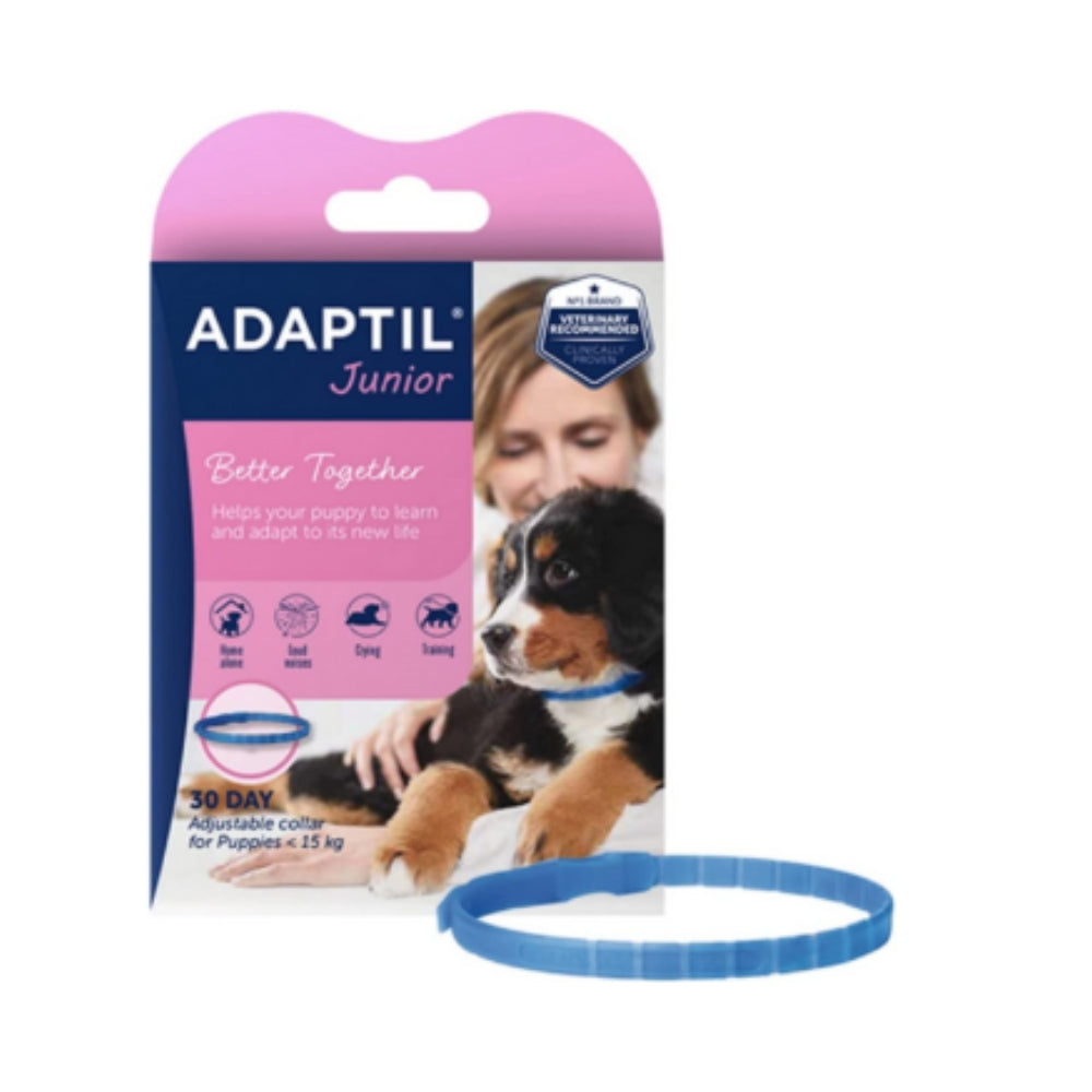 Adaptil, Calming Aids, Ceva, Dog, Indoor Behavior, Training & Behavior