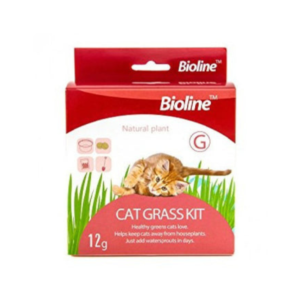 Bioline Catgrass Kit 12g
