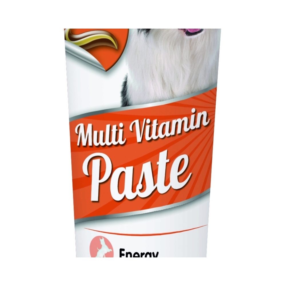 Duo Active Paste Multivitamin Dog 100g