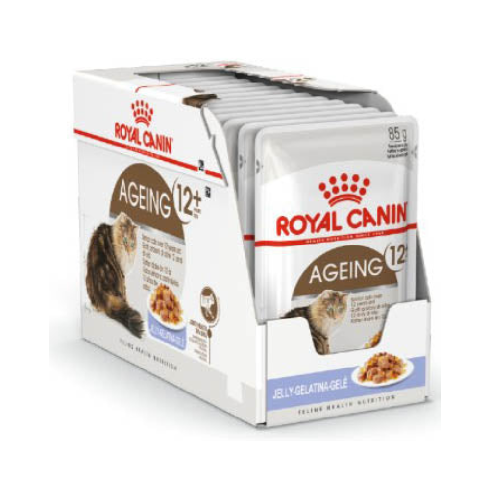 Cat, Royal Canin, Wet Food