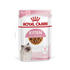 Feline Health Nutrition Kitten Gravy 85g