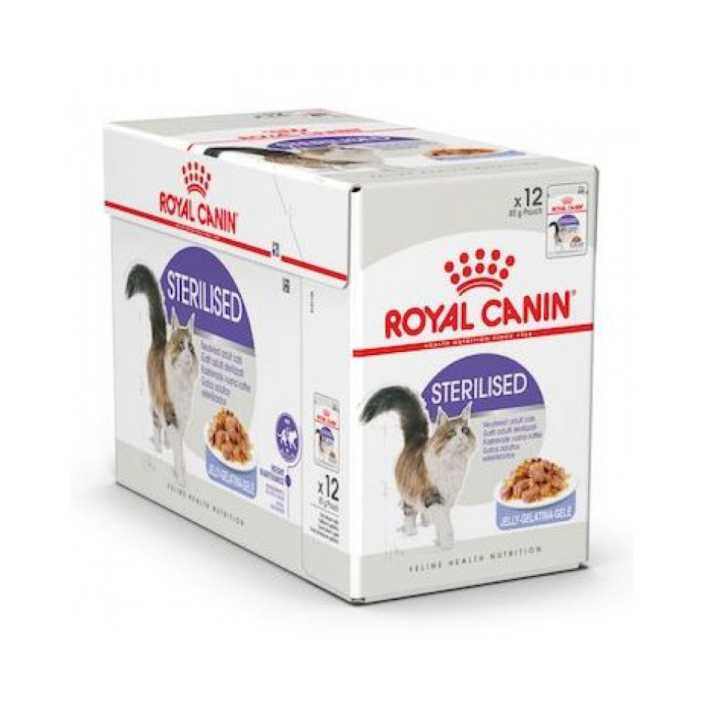 Cat, Royal Canin, Wet Food