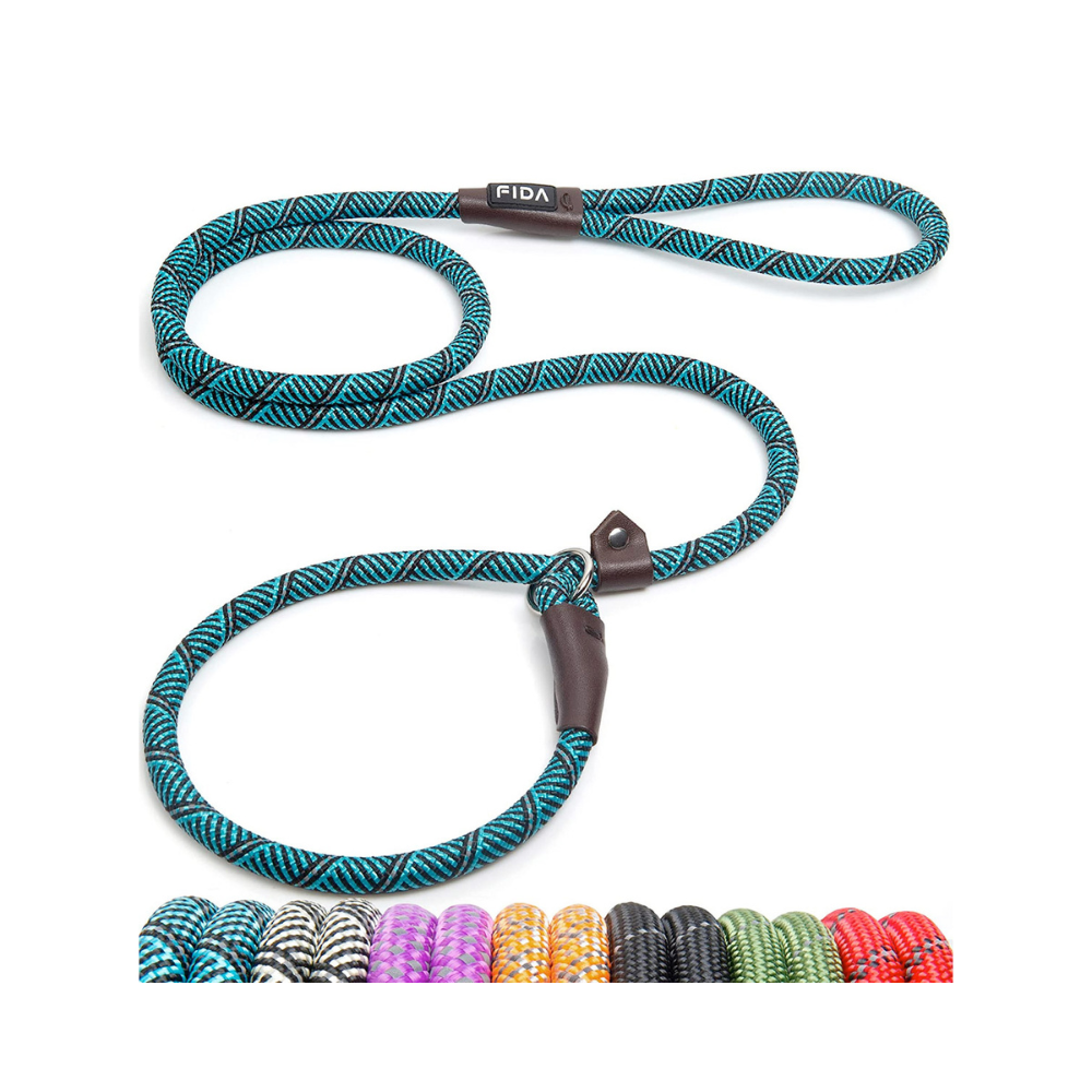 Fida Durable Slip Lead Dog Leash / Training Leash - Blue