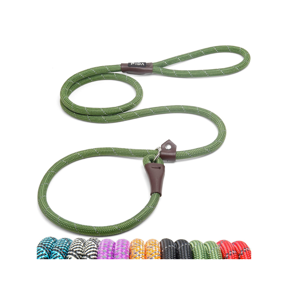 Fida Durable Slip Lead Dog Leash / Training Leash - Green