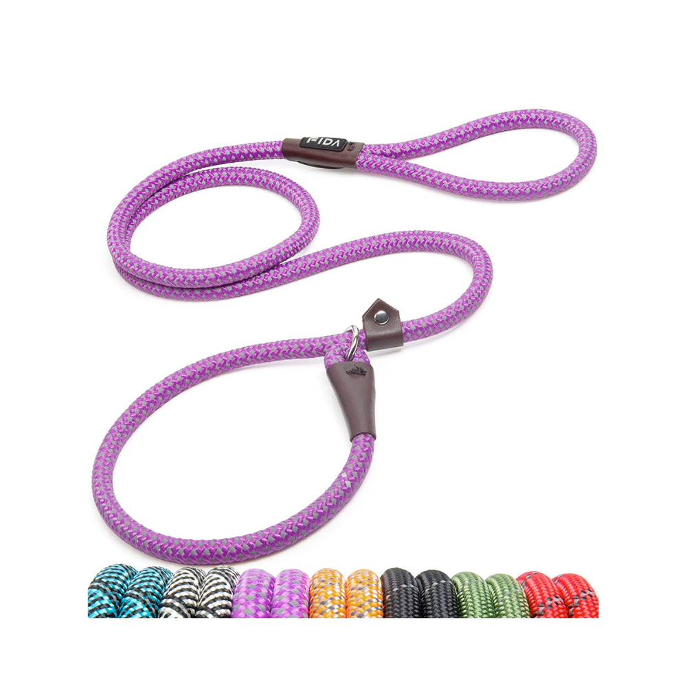 Fida Durable Slip Lead Dog Leash / Training Leash - Purple