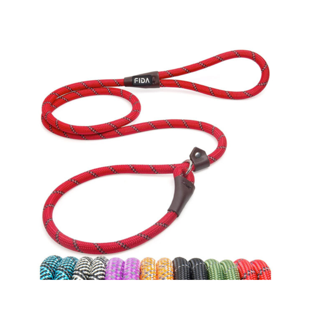 Fida Durable Slip Lead Dog Leash / Training Leash - Red