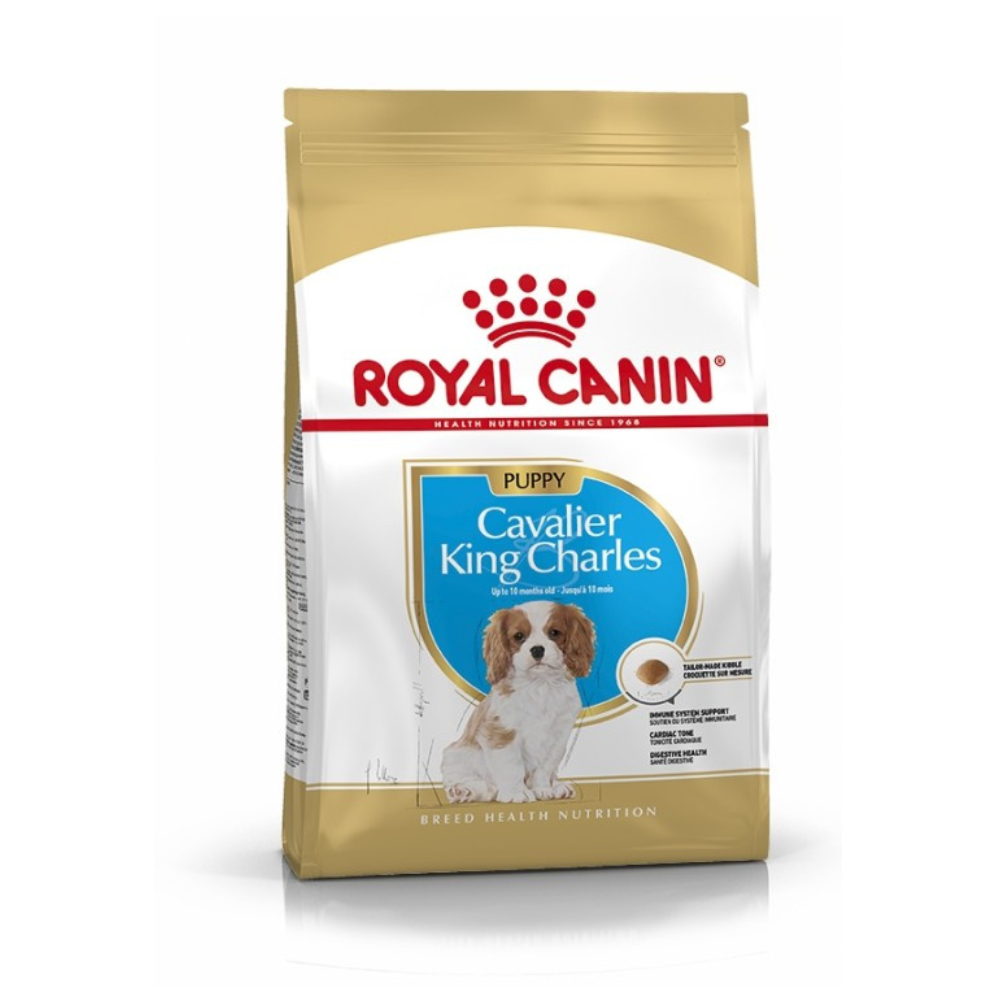 Dog, Dry Food, Royal Canin
