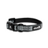 Alcott, Dog, Dog Collar