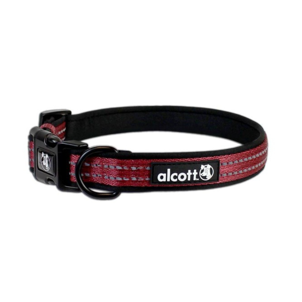 Alcott, Dog, Dog Collar