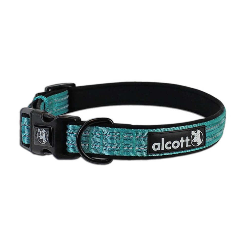 Alcott, Dog, Dog Collar