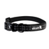 Alcott, Dog, Dog Collar