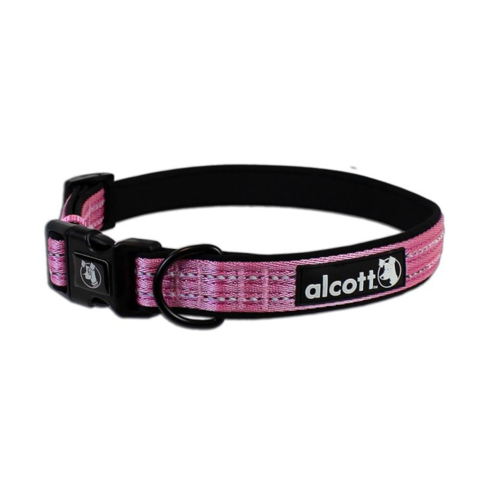 Alcott, Dog, Dog Collar