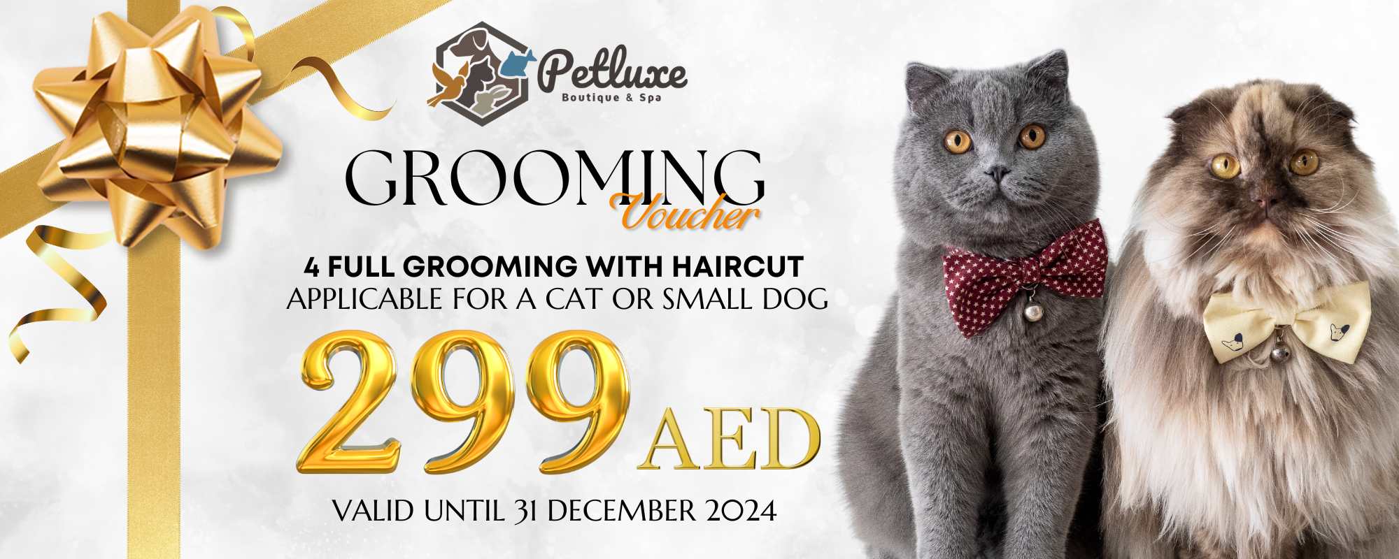 Pet Grooming Voucher for a Cat or Small Dog