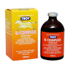 B Complex 100ml