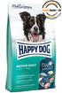 Dog, Dry Food, Happy Dog
