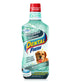 Synergy Labs Original Formula Dental Fresh - Dog 503ml