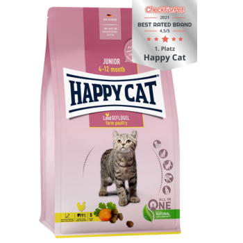 Cat, Dry Food, Happy Cat