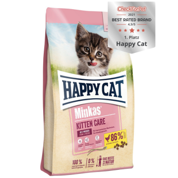 Cat, Dry Food, Happy Cat, Kitten