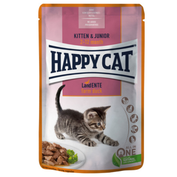 Cat, Happy Cat, Kitten, Wet Food