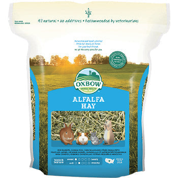 Oxbow Alfalfa Hay 15oz