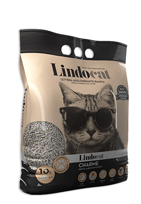 Cat, Cat Litter, Lindocat, Sand Litter