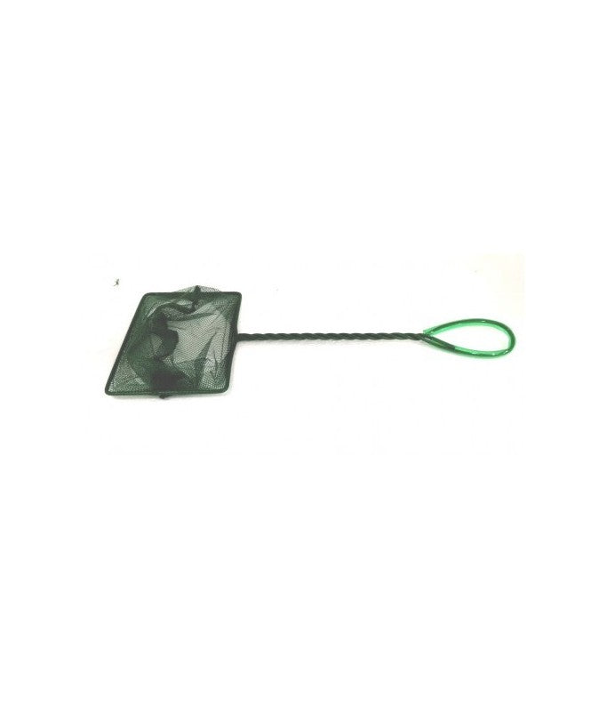 Fish, KW Zone, Net
