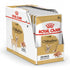 Breed Health Nutrition Chihuahua Adult (WET FOOD - Pouches)